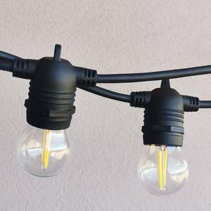 Indoor Lights: G45 Glass Bulb | 10m 10 Bulbs | Non-Dimmable | Flush Mount Festoon Lights