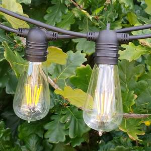 All Lights: ST58 Clear Bulb | 10m 20 Bulbs | Flush Mount Dimmable Festoon Lights