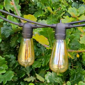 ST58 Amber Bulb | 10m 20 Bulbs | Flush Mount Dimmable Festoon Lights