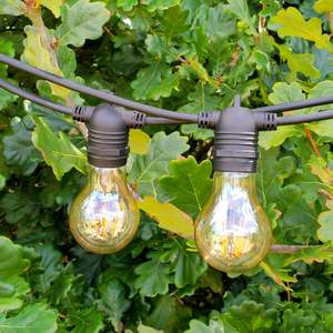 All Lights: A19 Amber Bulb | 10m 20 Bulbs | Flush Mount Dimmable Festoon Lights