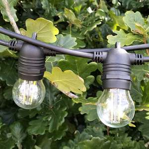 A60 Clear Bulb | 10m 20 Bulbs | Flush Mount Dimmable Festoon Lights