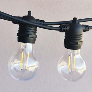 Trending Now: A60 Clear Bulb | 5m 10 Bulbs | Flush Mount Dimmable Festoon Lights