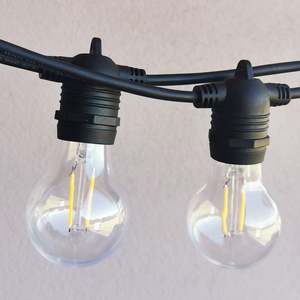 String Lights 1: A60 Clear Bulb | 10m 10 Bulbs | Flush Mount Dimmable Festoon Lights