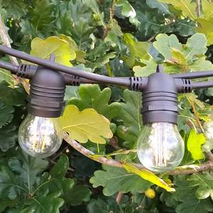 G45 Clear Glass Bulbs | 10 Pack