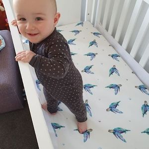 Jersey Cotton Cot Sheet - Sea Turtles