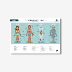 Wall Prints: Te Reo Māori Human Body A2 Poster