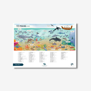 Wall Prints: Te Reo Māori Ocean A2 Poster