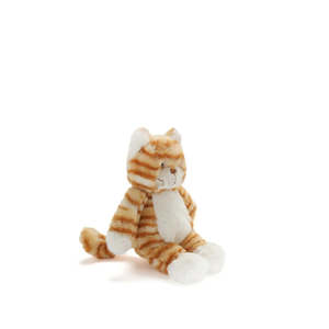 Ginger the Kitten