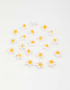 Yellow: Yellow Frangipani Mini Hair Clips 20-Pack
