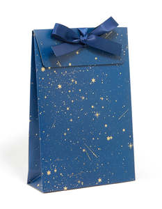 Navy Celestial Gift Bag