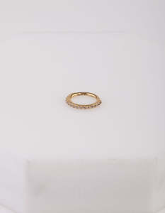 Gold Surgical Steel Hinged Ring Body Jewellery