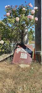 Spice Blend: Springvale Hill Peppers & Spice Mix