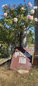 Springvale Hill Salt-Peppers & Spices Mix (Whole Spices)