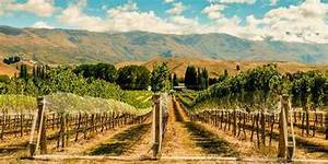 Frontpage: Harvest Blend