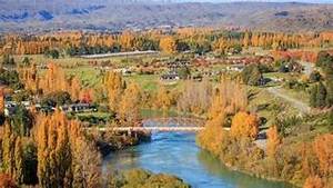 Spices Mixes: Springvale Hill Kiwi Spice-Central Otago