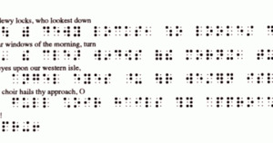 Duxbury Braille Translator for Windows