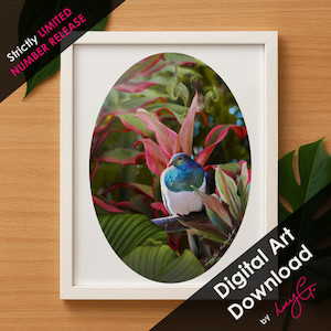 SPECIAL LIMITED RELEASE - DIGITAL DOWNLOAD 'Reflection' Kereru oval art A4