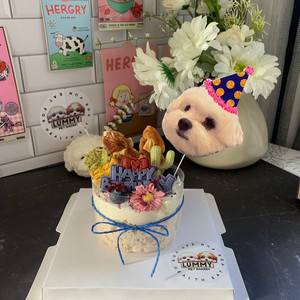 Naked Paws Cake Lummy Pet Bakery