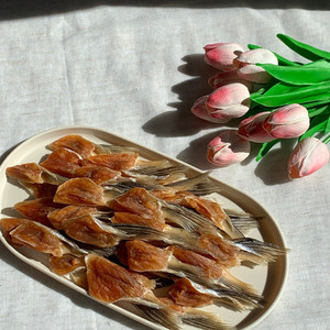 Products: Golden Salmon Wings Lummy Pet Bakery