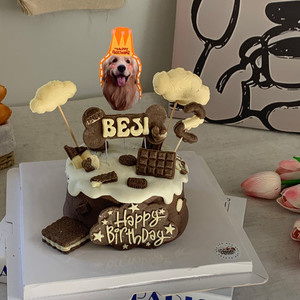 Products: Lummy Custom Celebration Cake Lummy Pet Bakery
