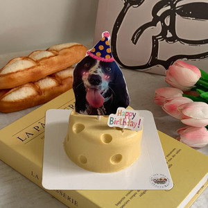 Pet Mousse Cake Lummy Pet Bakery