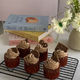 Chicky Choco Cupcakes Lummy Pet Bakery
