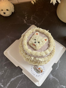 Crafted pet Cake with Hand-Painted Portrait Lummy Pet Bakery