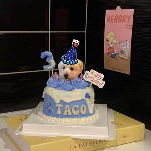 Products: Basic Pet Cake Lummy Pet Bakery