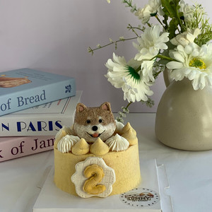 3D portrait Pet Cake (4 inch) Lummy Pet Bakery