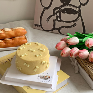 Products: Lummy Signature Bone Cake Lummy Pet Bakery