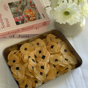 Products: Chicken Yolk Seaweed Pet Chips Lummy Pet Bakery