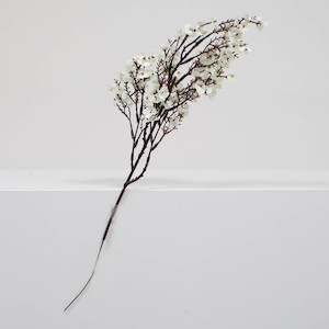 Artificial Branches And Flower Stems: Small Cherry Blossom Branches - White (50cm)