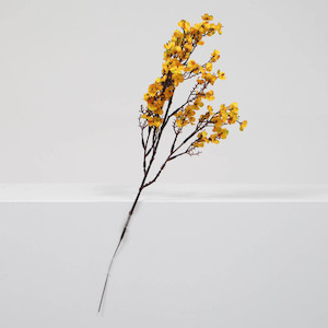 CLEARANCE Small Cherry Blossom Branches - Orange (50cm)