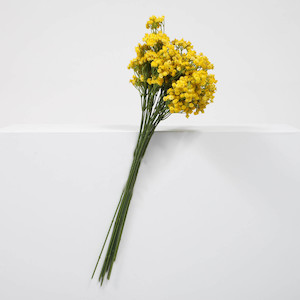 CLEARANCE Baby's Breath Bouquet Premium Stems - Yellow (60cm)