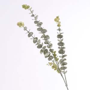 Frosted Silver Dollar Eucalyptus Stem