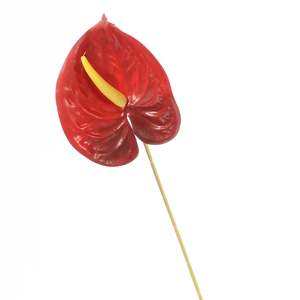 Christmas Table Linen And Decorations: Artificial Anthurium Stem - Burgundy