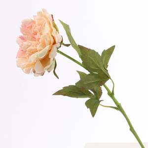 Artificial Real Touch Peony Rose - Large Stem - Peach