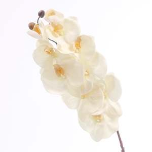 Outdoor Events: Artificial Orchid Stem - White / Ivory