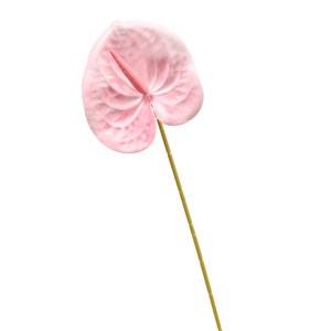 Artificial Anthurium Stem - Pink