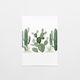 Gift Card | Cactus Garden