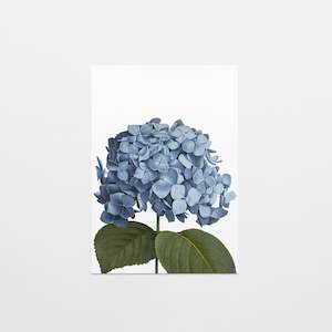 Gift Card | Blue Hydrangea