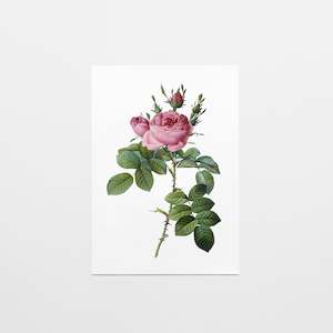 Gift Card | Vintage Rose