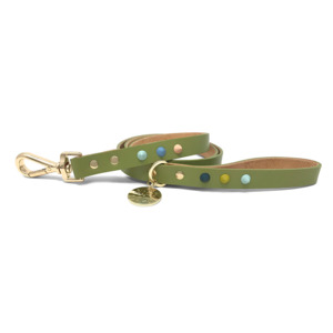Dog Accessories: Leather Lead | Mini Golf