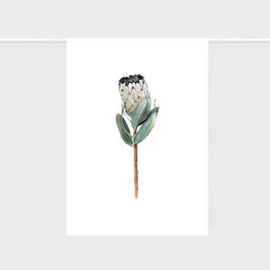 Teatowel Protea