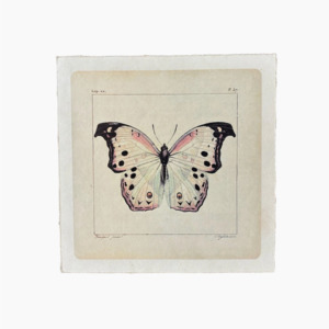Wall Art: Print | Vintage White Butterfly
