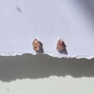 All Raw Crystal Jewellery: Pink Sapphire Stud Earrings