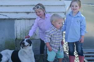 Everything: Daisy Flannel