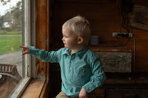 Everything: Noah Summer Cotton