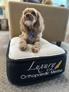Orthopaedic Merino Pet Bed