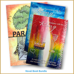 Novel Bundle Deal - Lynette Love Books NZ Author Illustrator Children's Books and Novels